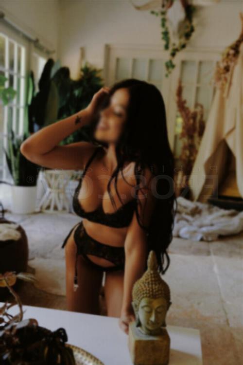 Nfart, escort in Remuera - 17146