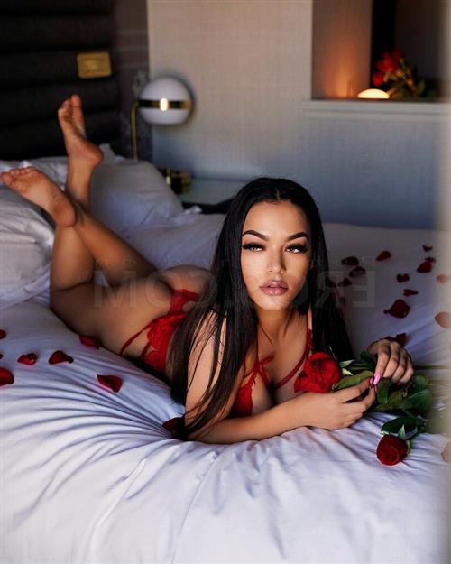 Sexye, vip girls in Palmerston North - 4328